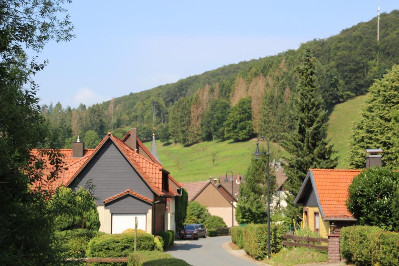 Haus Hirtenbergblick Lonau Esterno foto