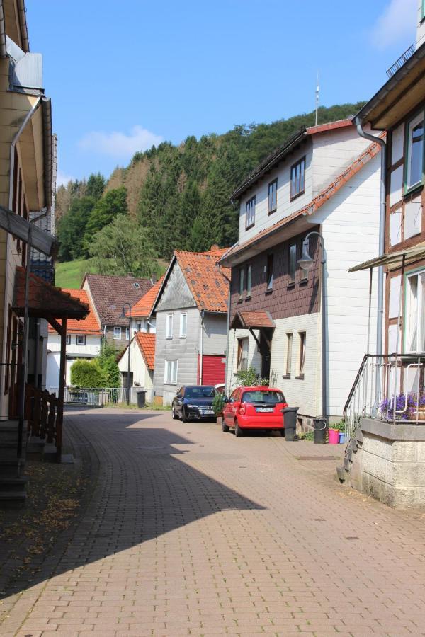 Haus Hirtenbergblick Lonau Esterno foto