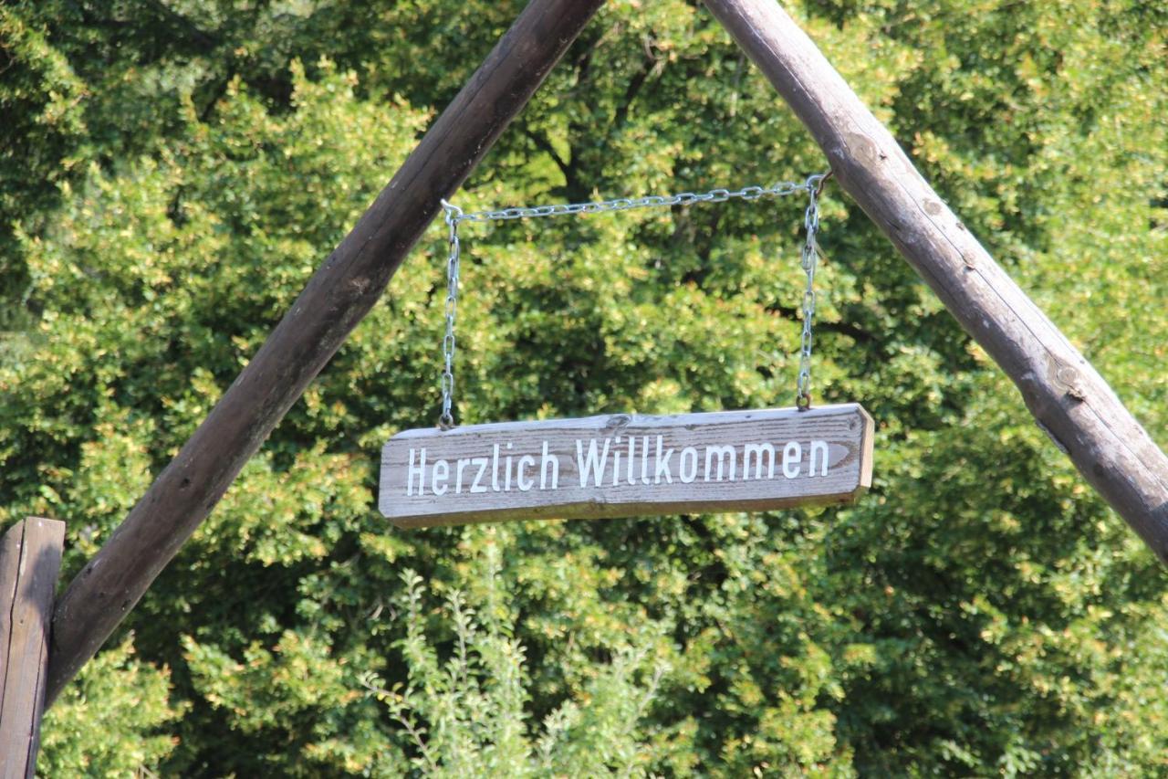 Haus Hirtenbergblick Lonau Esterno foto