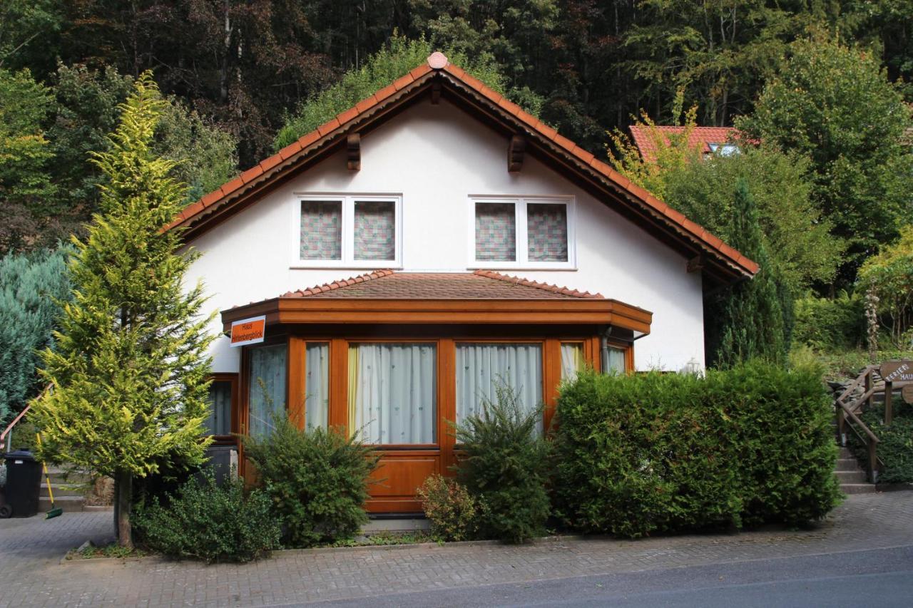 Haus Hirtenbergblick Lonau Esterno foto