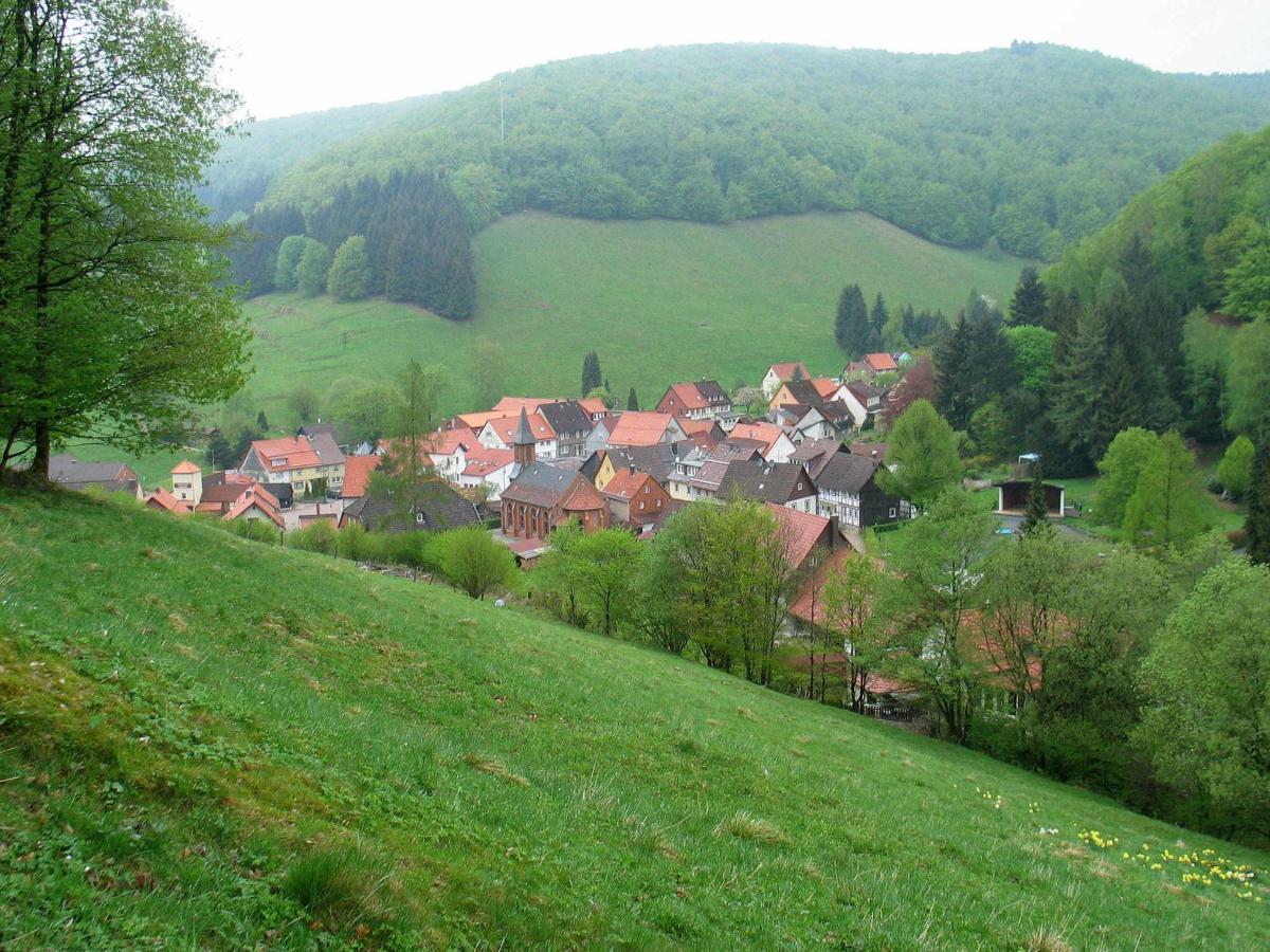 Haus Hirtenbergblick Lonau Esterno foto