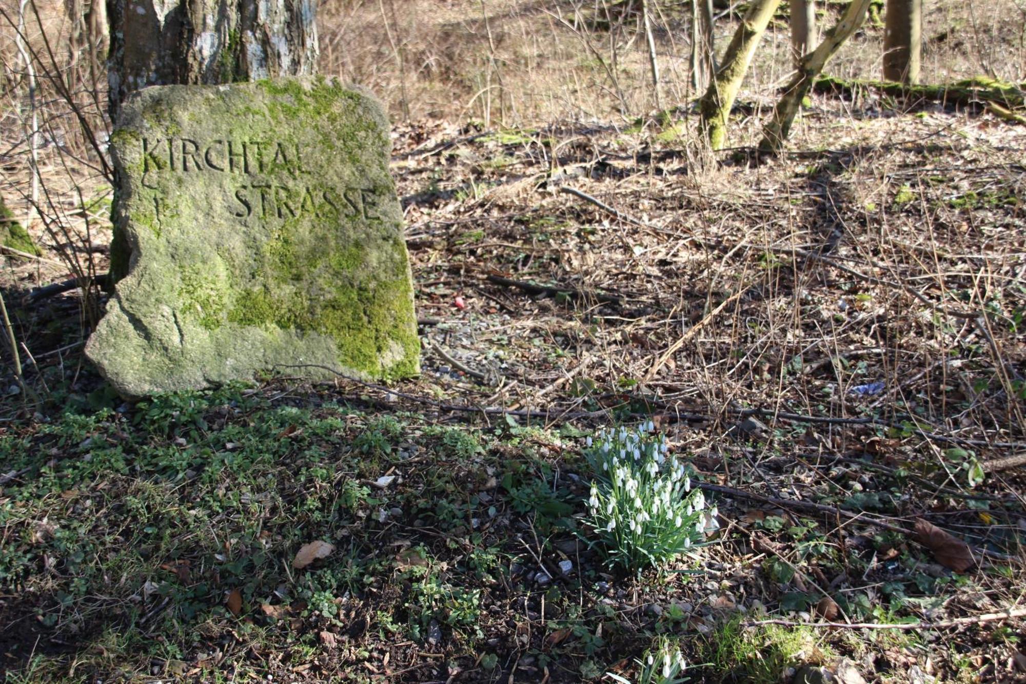Haus Hirtenbergblick Lonau Esterno foto